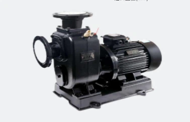 Self-Priming Sewage Pump